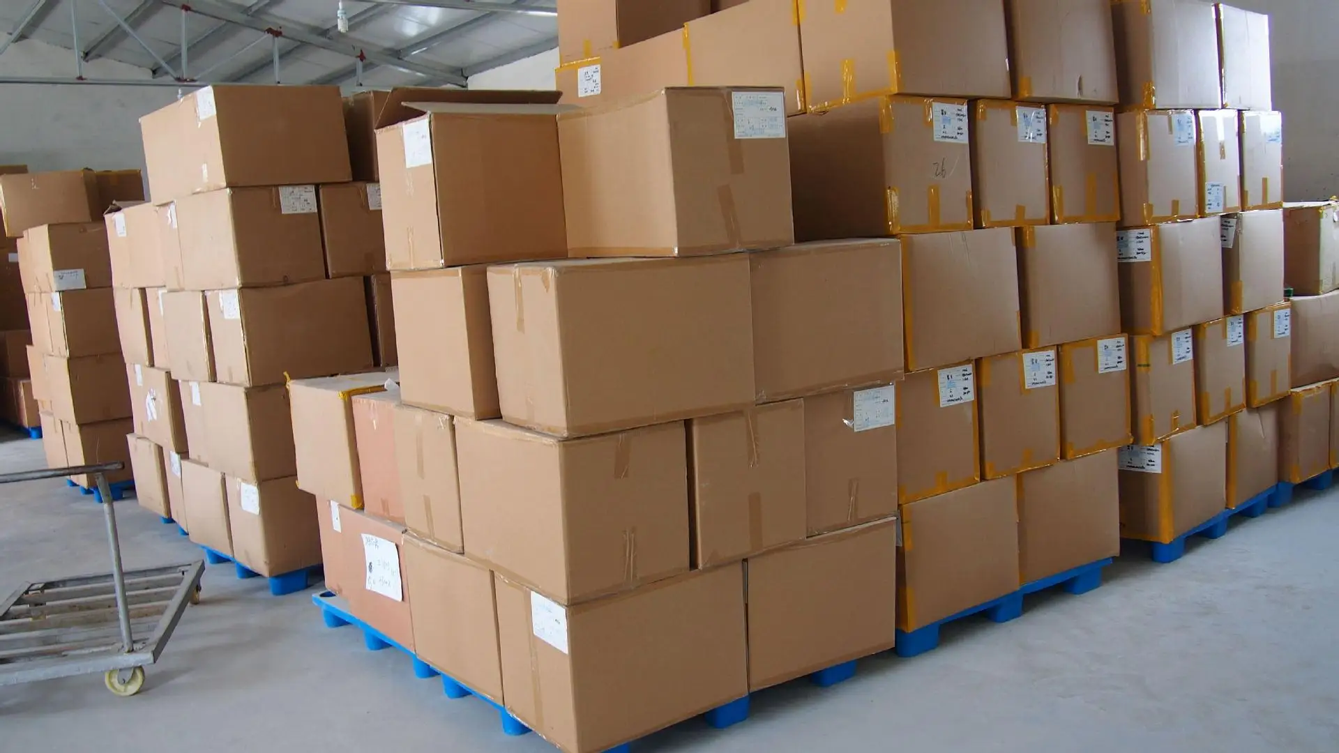 wholesale one time use try on disposable foot socks transparent sock sox stock