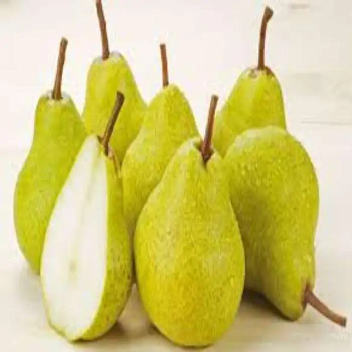 Export fresh pears from China high quality and competitive price ya pears