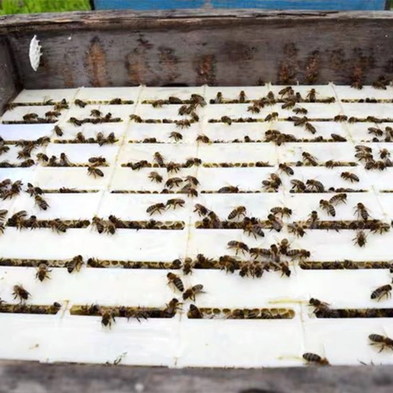 Высококачественная прозрачная Расческа для меда 250 г коробка пищевых продуктов расческа контейнер пчелы