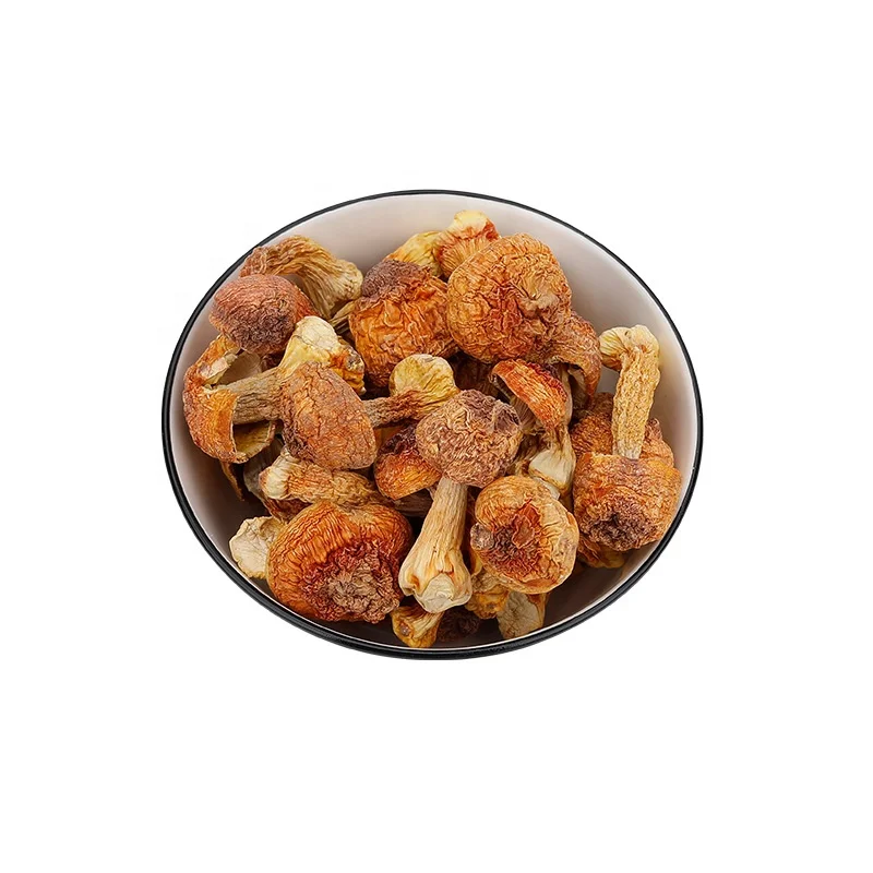 YINING Wholesale Natural Dried Agaricus Blazei High Quality magic mushroom