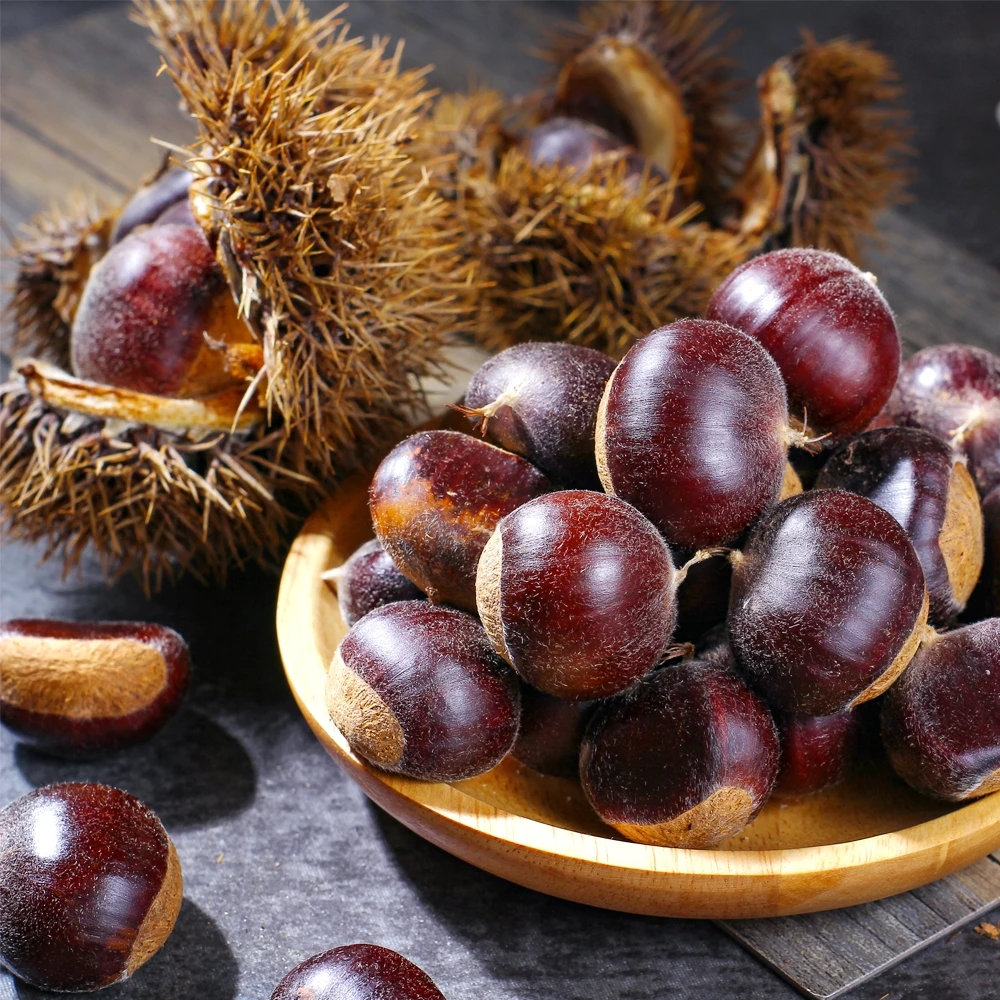 2015 new crop Fresh chestnut for sale