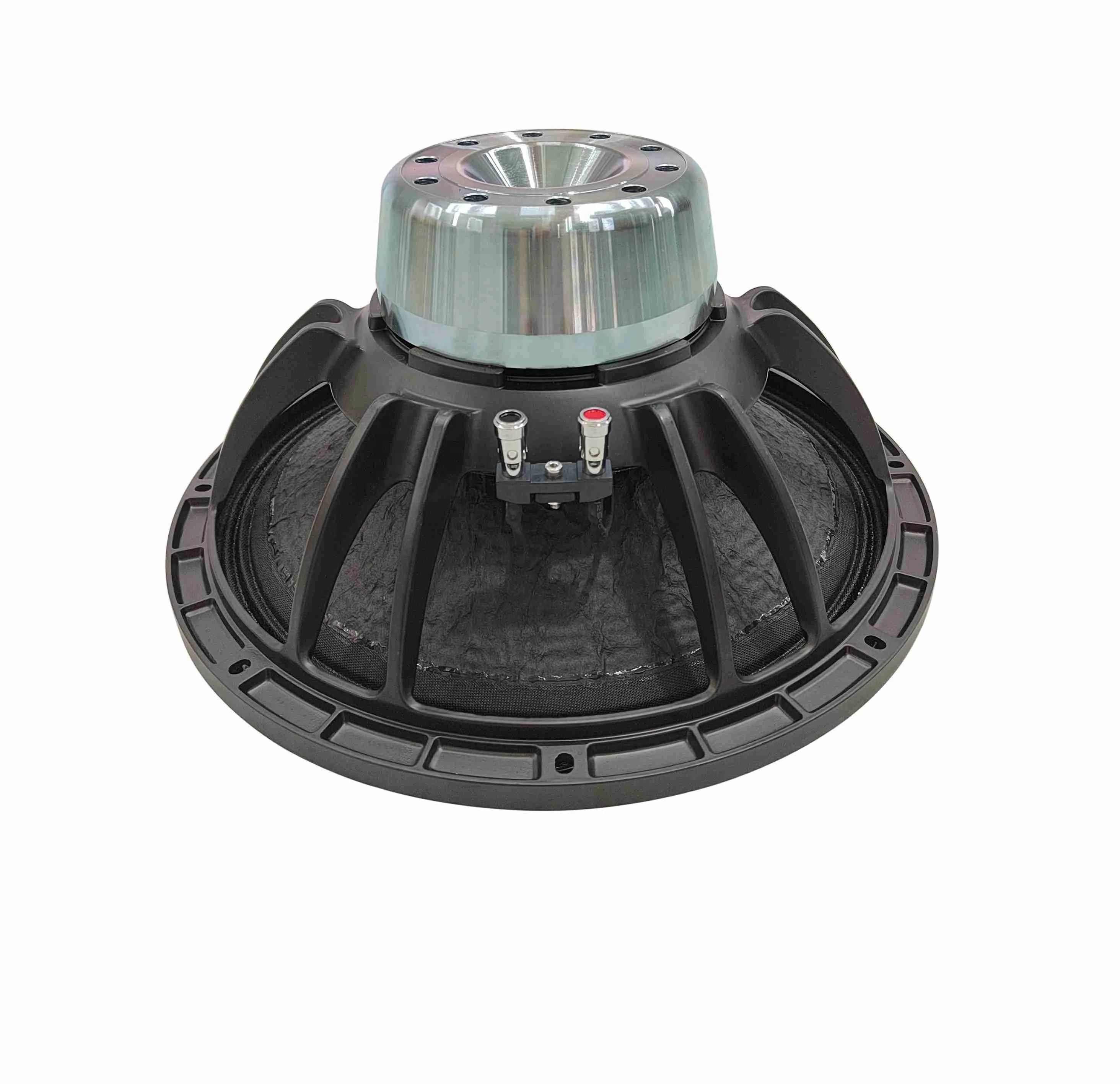 15 Inch Powerful Neodymium Speaker