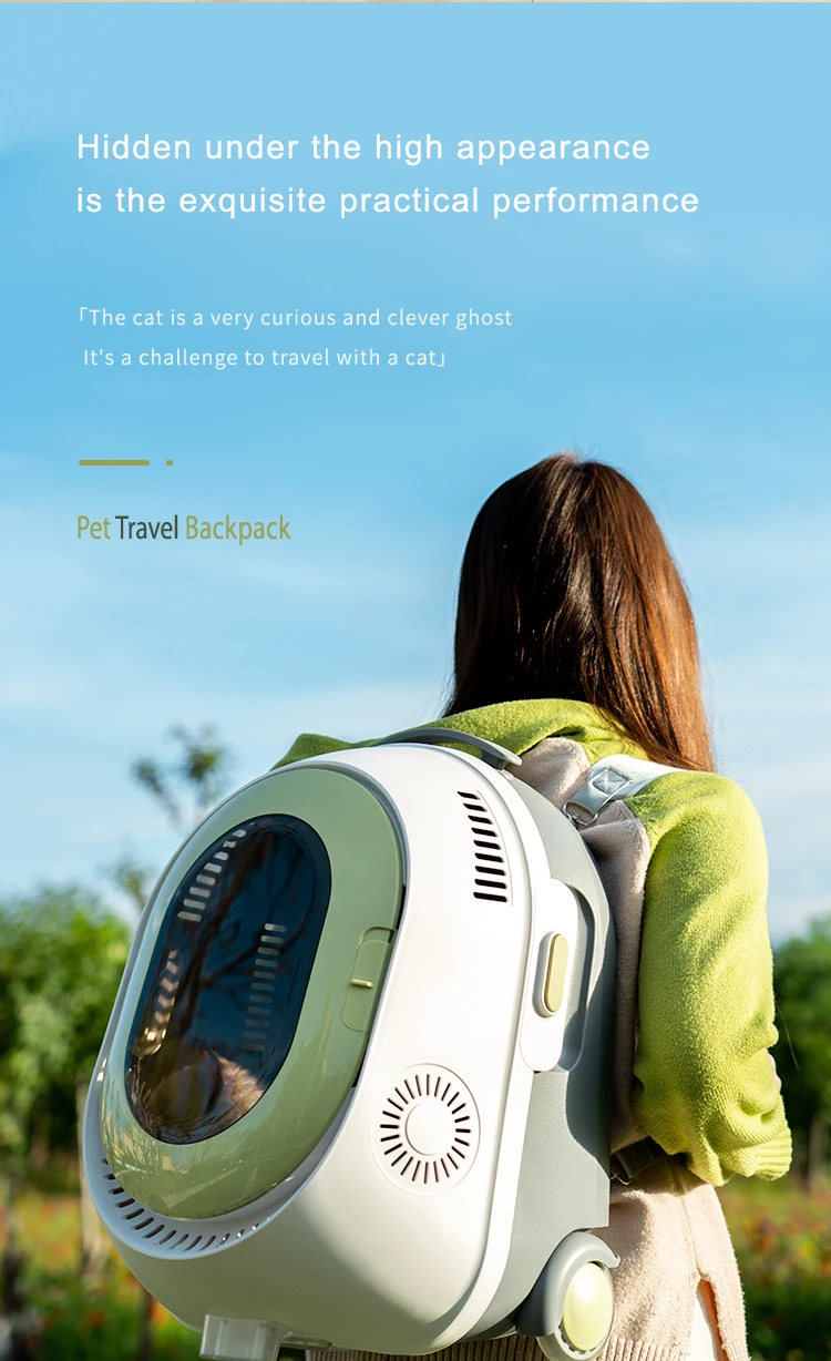 Portable Eva Pet Dog Puppy Cat Foldable Carrier Carrying Bag Cage Tote Handbag