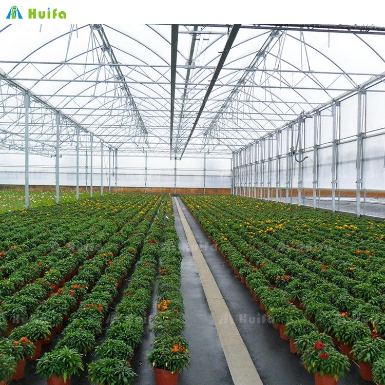 Hydroponic Growing Systems Greenhouse Fertigation System Agricultural Greenhouse Morocco
