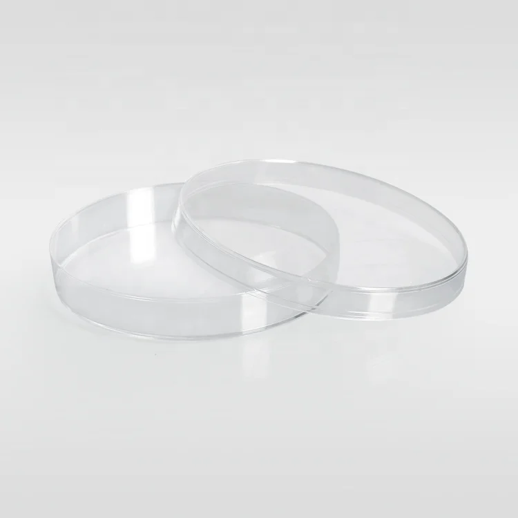 Good price Medical sterile disposable Polystyrene plastic 55 mm Bacteria culture petri dish for hospital school lab