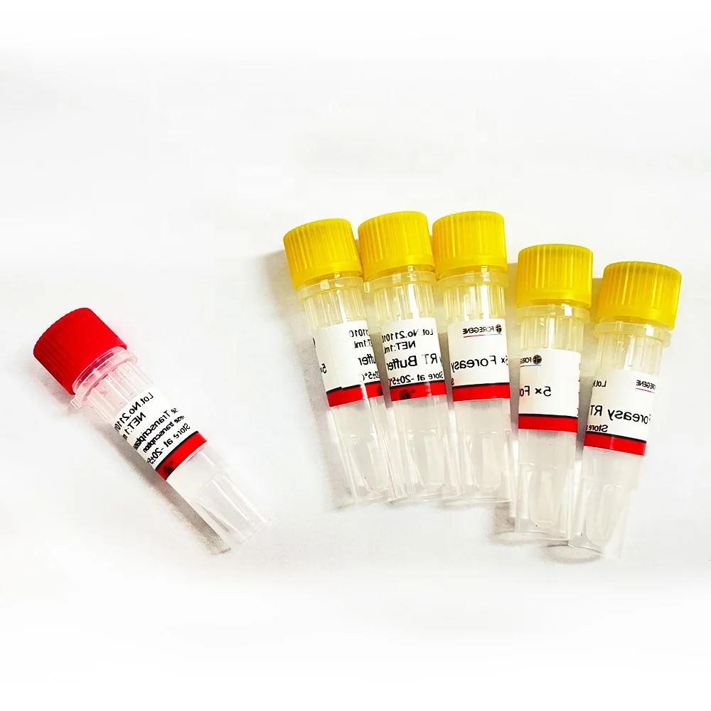 Foreasy Supper Hot Star HS Taq DNA Polymerase for PCR/qPCR 5000 u