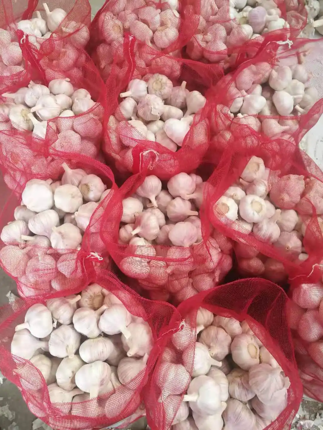 
2020 Pure White Fresh Garlic / Alho from Jin Xiang Liming 