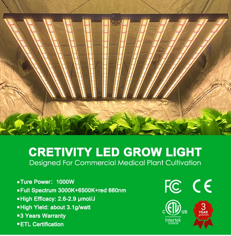 Cretivity Commercial Full Spectrum Plant Grow Lights 1000w 640w Led Light For Medical