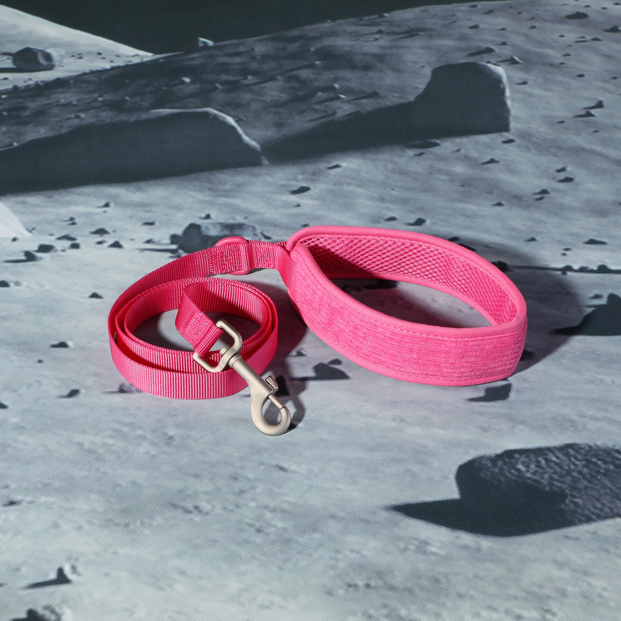 Pet supplies rope dog leash training harness color custom travel pet collars dog leash outdoor adjustable pet dog harness