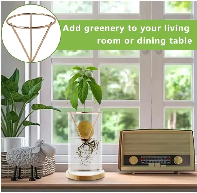 Indoor Planting Avocado Plant Growing Kits with Plant Pot and Wooden Base for Gardening Lovers