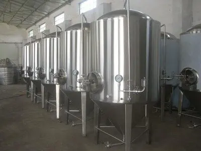 50L 100L Home Use Baijiu/Wine/Whisky Fermentation Brewery Craft Mini Beer Equipment