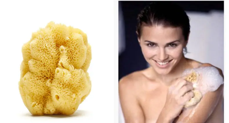natural bath brushes sea wool sponge 6-7cm for bathing