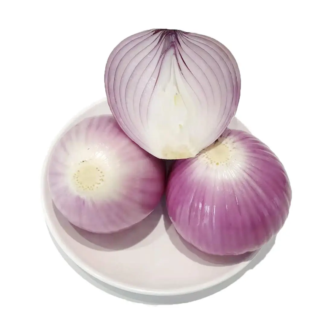 chinese Farm newest crop Farm Lowest Price Fresh Red Onion and Yellow Onion