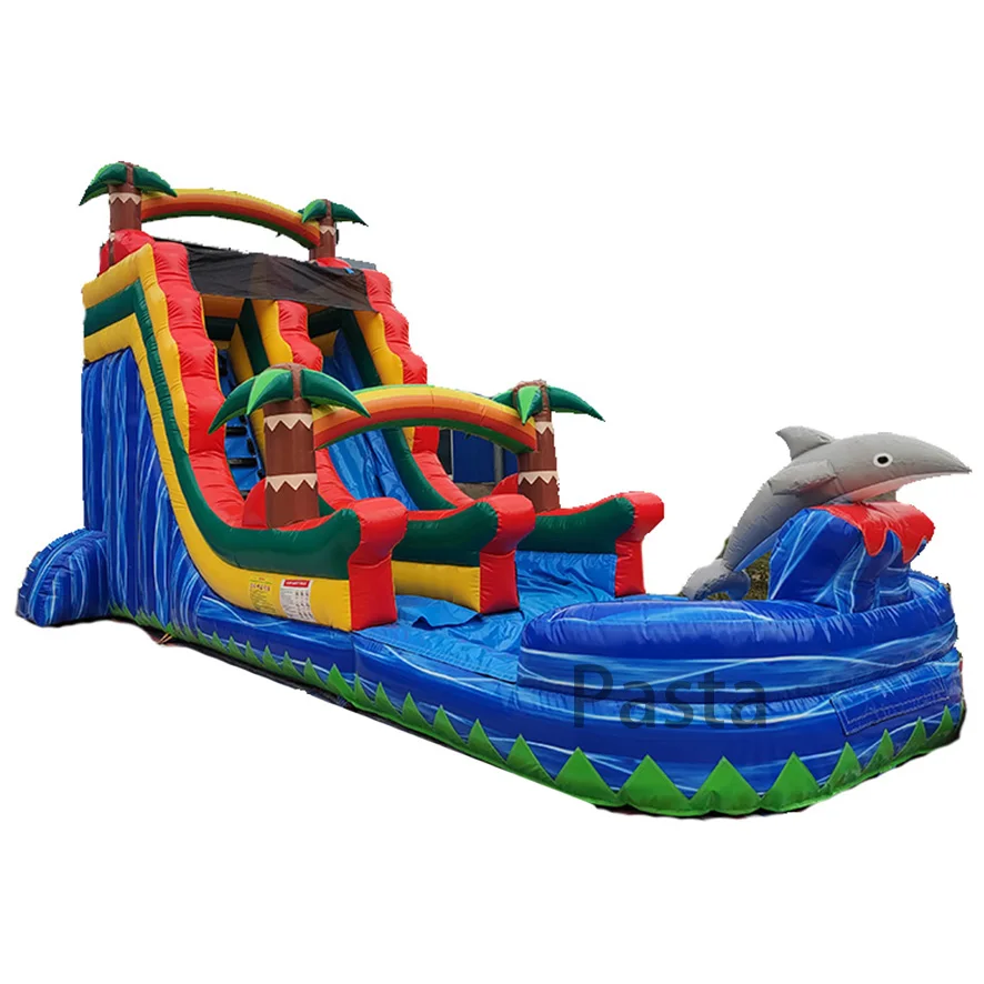 Miami dolphin inflatable water slide pool
