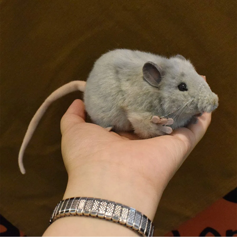 Simulation Vivid Features Mouse with Long Tail Super Cute Desk Decor Girl Threatening Toy Plush Stuff Animal Grey Mini Mouse Toy