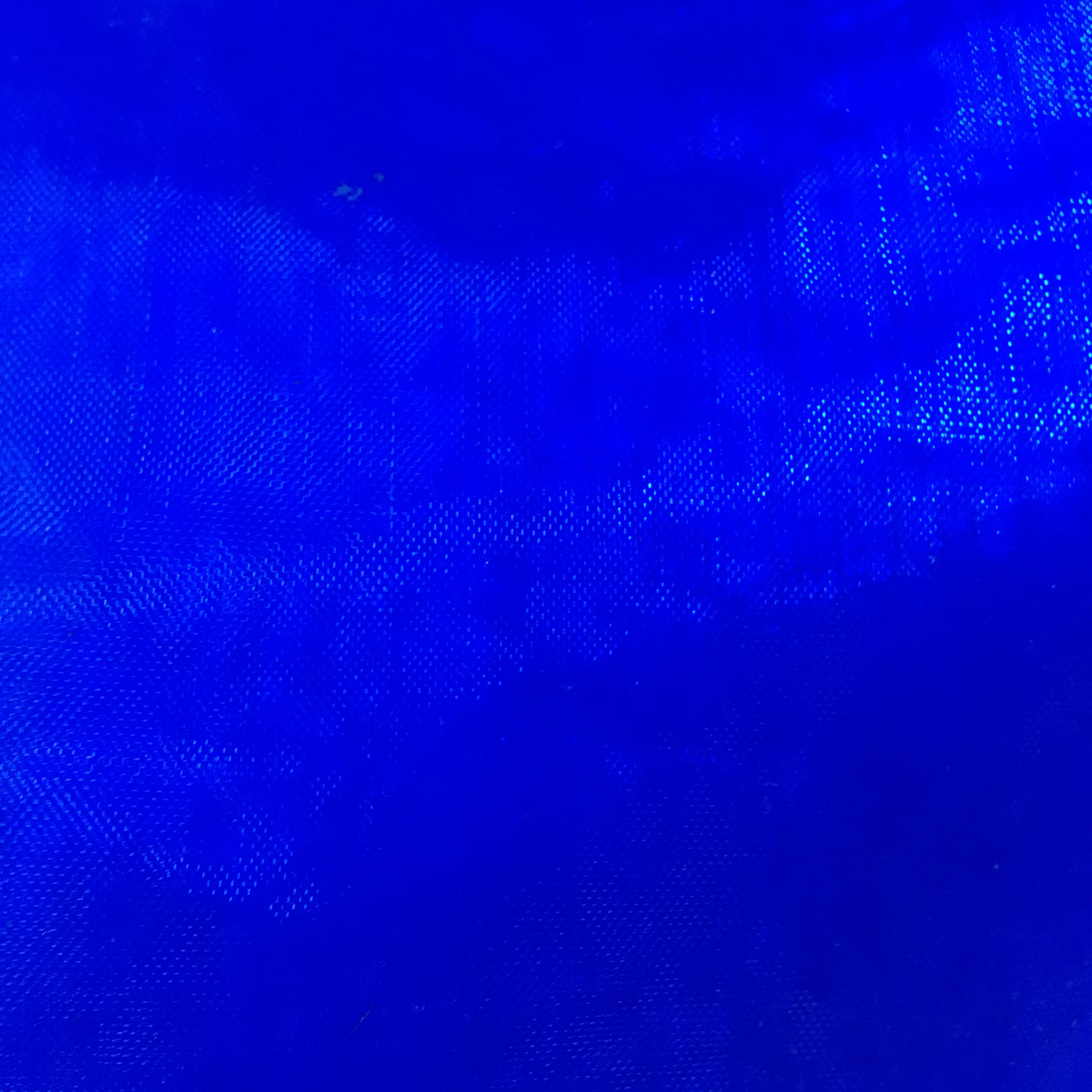 Iridescent glitter printed  organza fabric