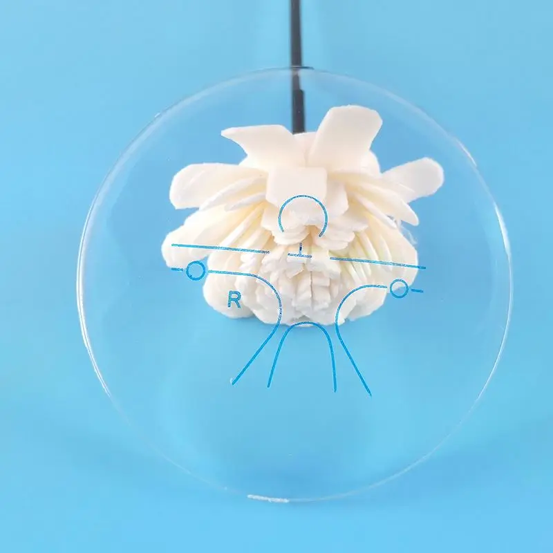 New Arrival Reasonable Price Optical Lenses Round Top