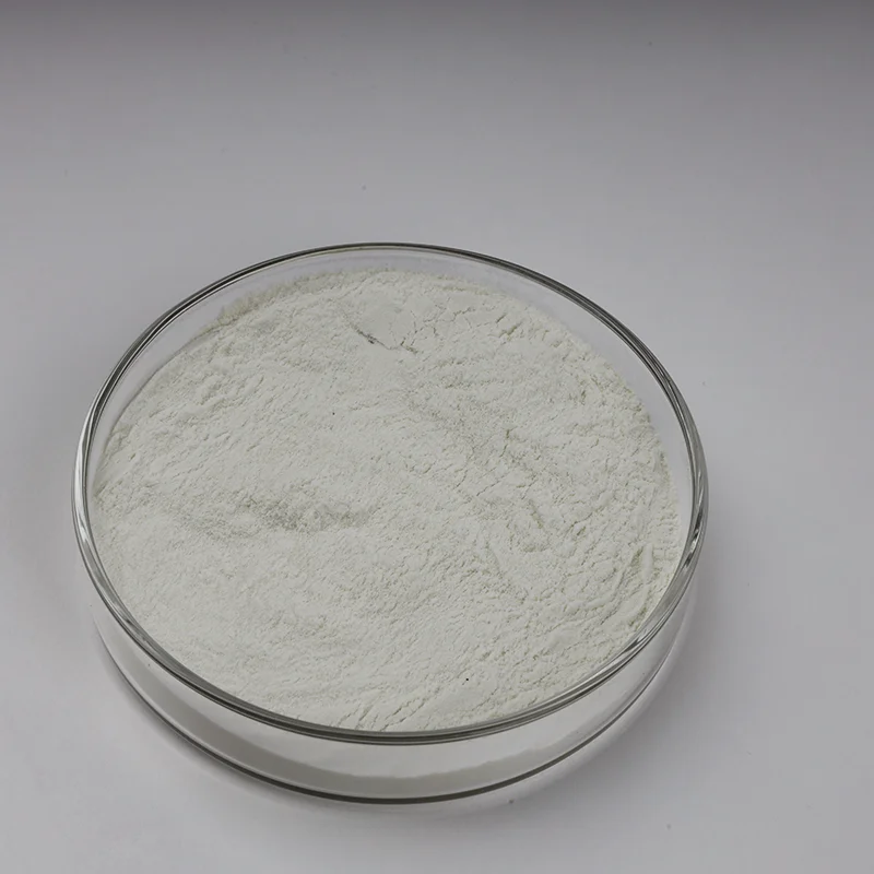Factory Supply High Quality Lipase powder Food Grade