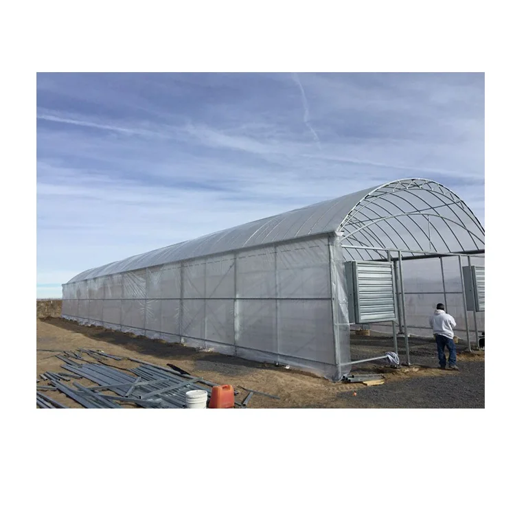 
Factory Hot- Sale Widely Use Greenhouse Structure Tunnel Greenhouse 