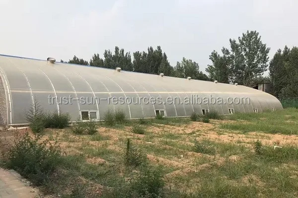  Экологичная теплица на солнечных батареях для