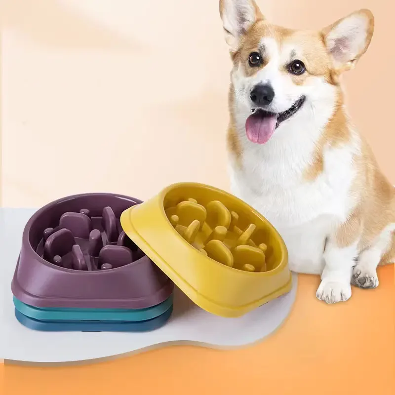 Household Round PP Luxury Pet Slow Feeder Dog Feed Food Bowl Custom Portable Dog  Bowls Slow Feeders