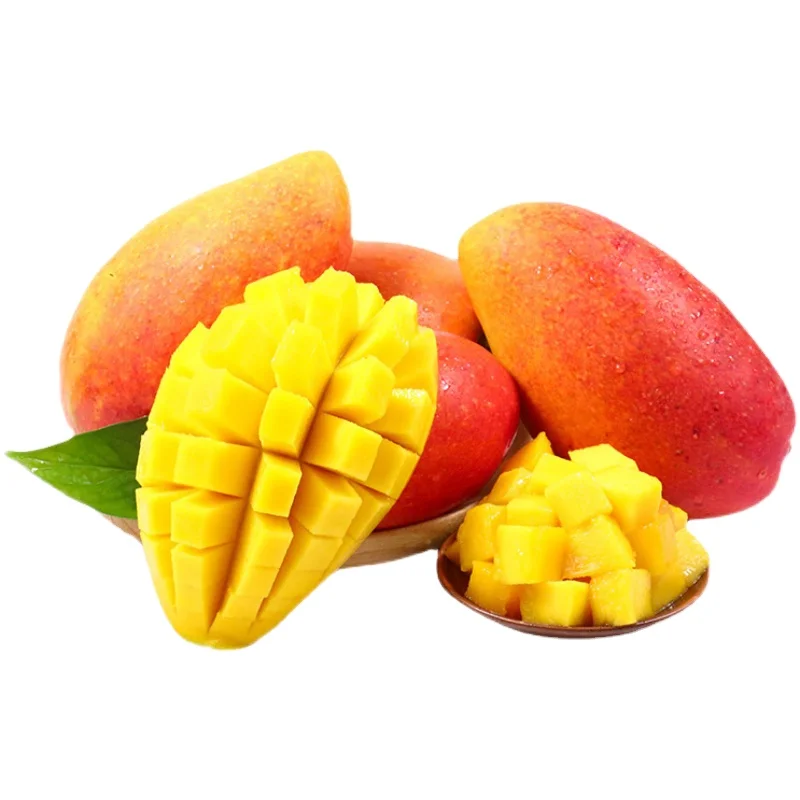 Delicate And Sweet Mango Supplier Price Fresh Fruit Mango From China