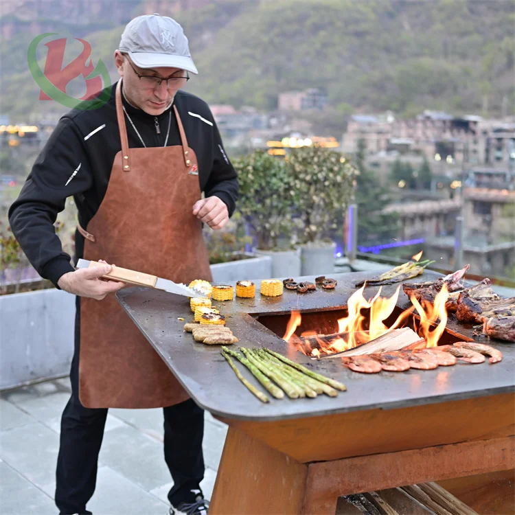 camping barbecue grill grill pour barbecue gas grill barbecue