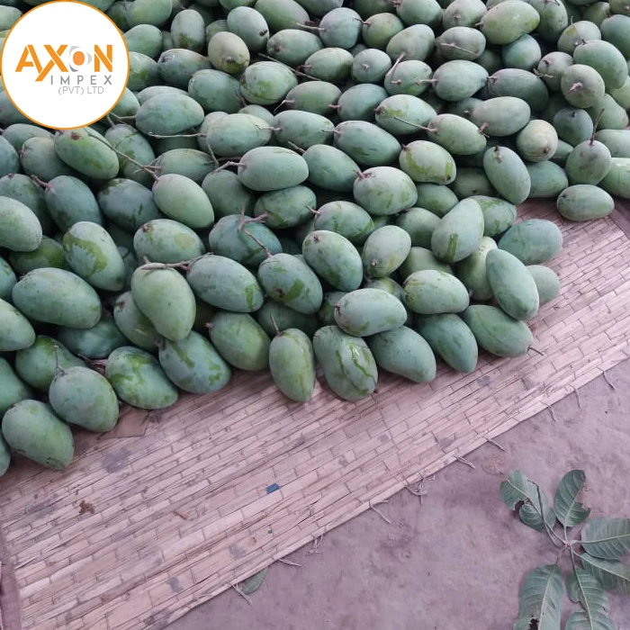 
Fresh From Pakistan Farm Honey Mango - Fresh Fruit 