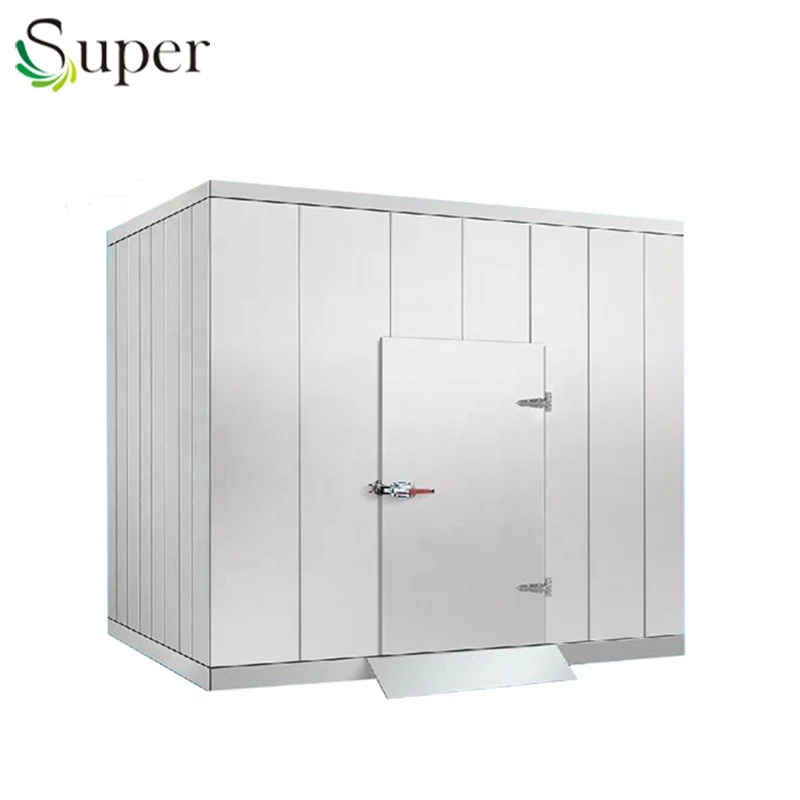 
100 ton potatao cold room storage for hot weather with wall insulation coating liquid 