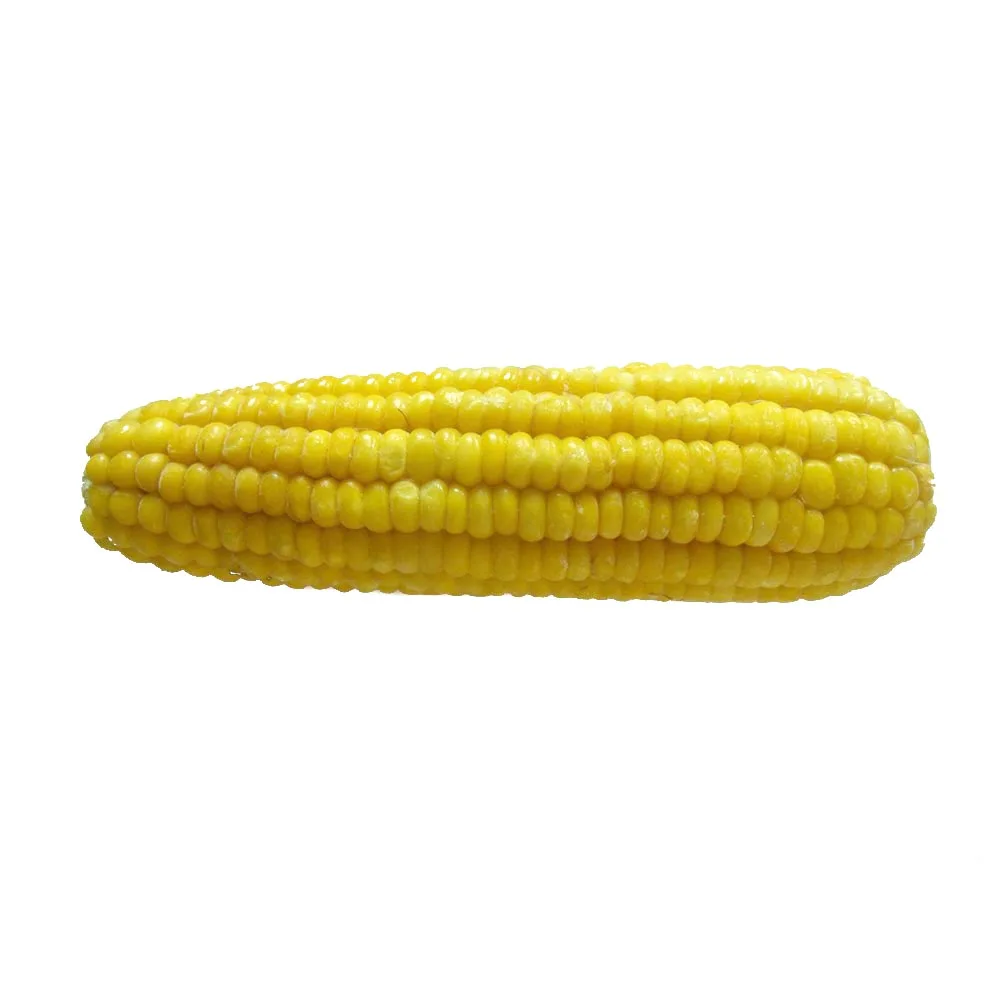 Wholesale Frozen Sweet Waxy Corn On The Cob