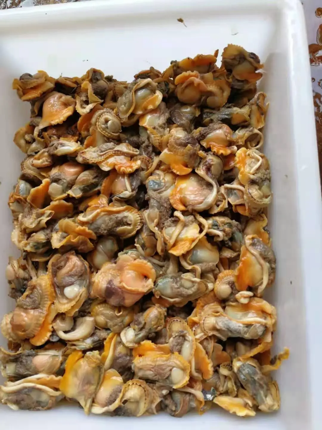 Frozen baby clam meats