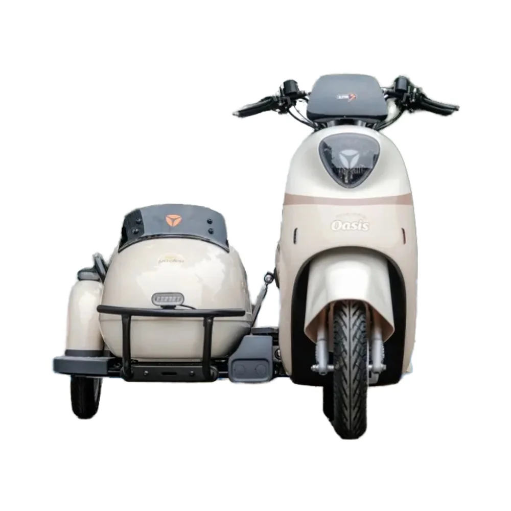 Yadea Electric Tricycle Hot Selling Tricycle Adult Tricycle 3 Wheel Electric Scooter 60V Eec E Bike 3 Wheel Gasoline R10 Open