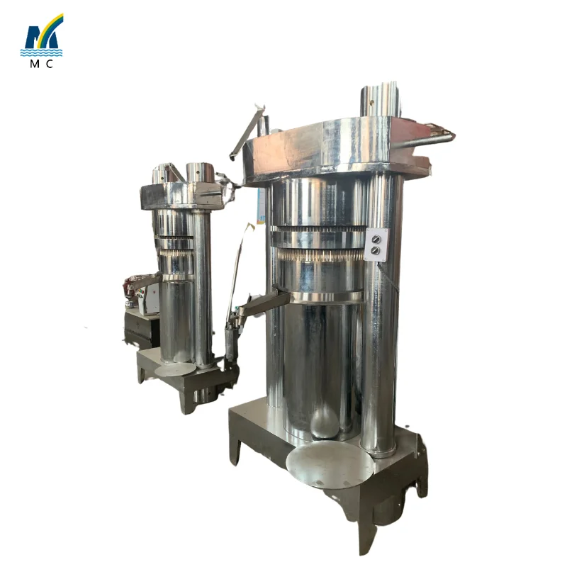 2023 hot sale household oil press small scale sunflower oil press