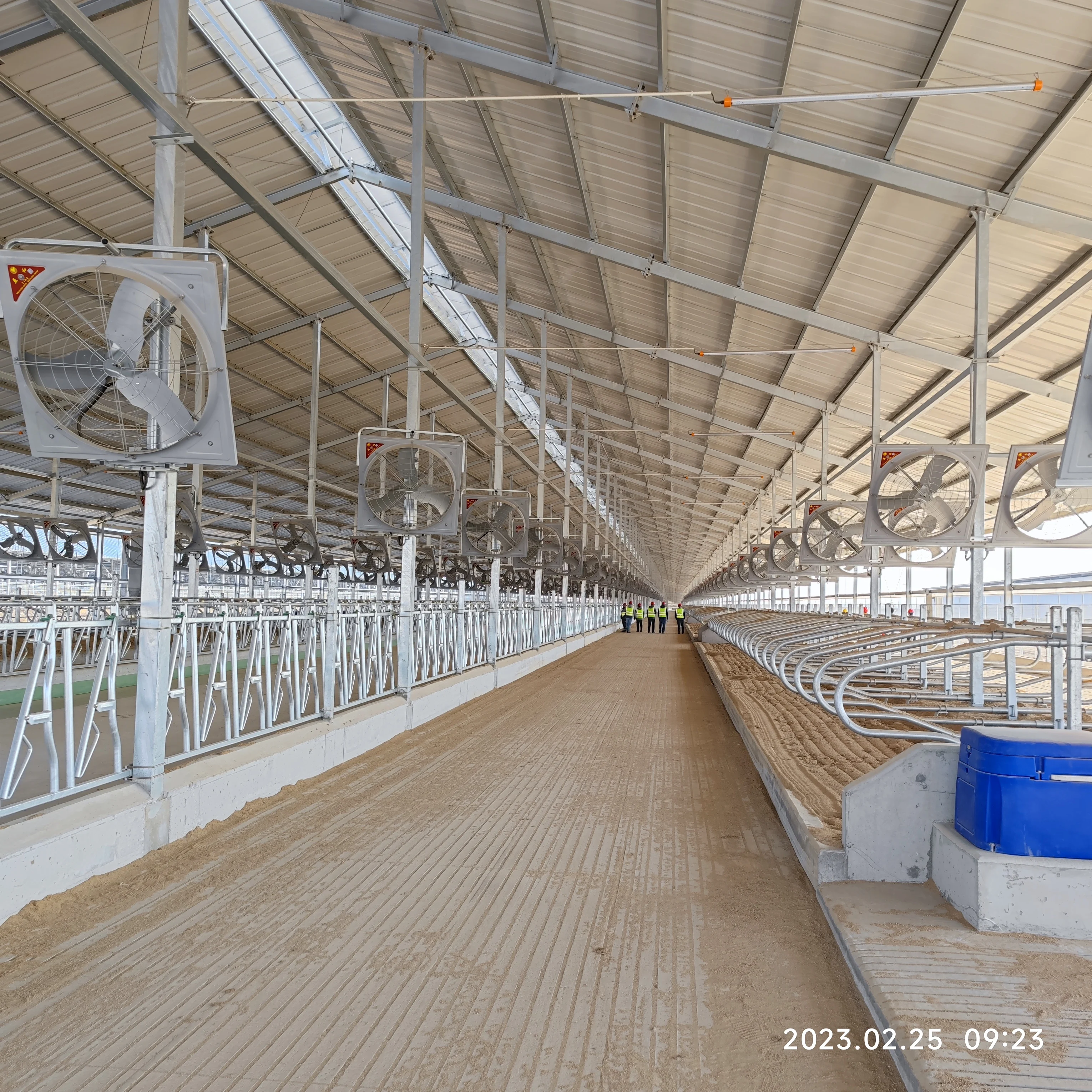 Metal steel structure building farm house for breeding chicken caw steel milk factory