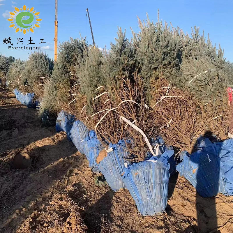 wire tree basket planting nursery  root ball netting for tree nursiries