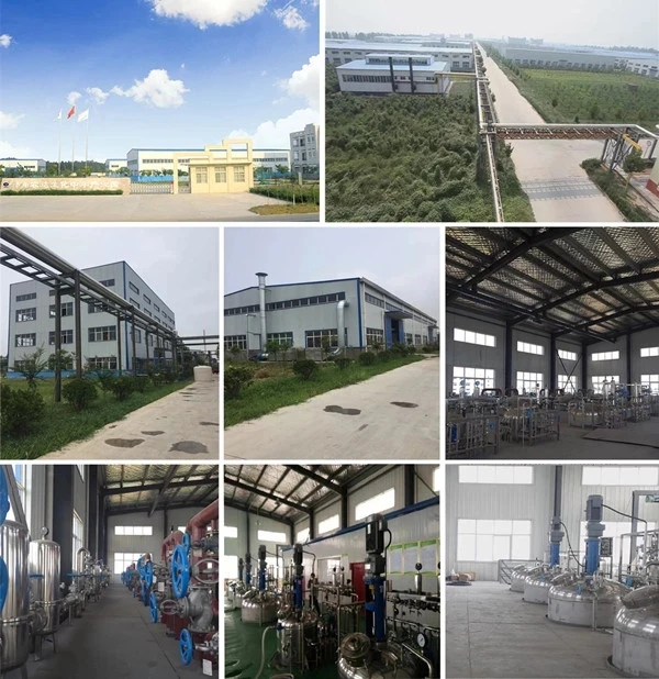 rooting hormones raw materials giberellic acid GA3 90% tc in plant growth regulator gibb