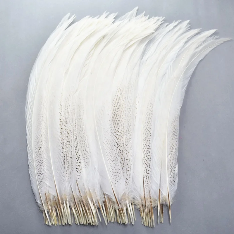 65-70cm Long White Silver Pheasant Tail Ostrich Feather Natural Pattern for Carnival Feather Costumes and Decorations or Crafts