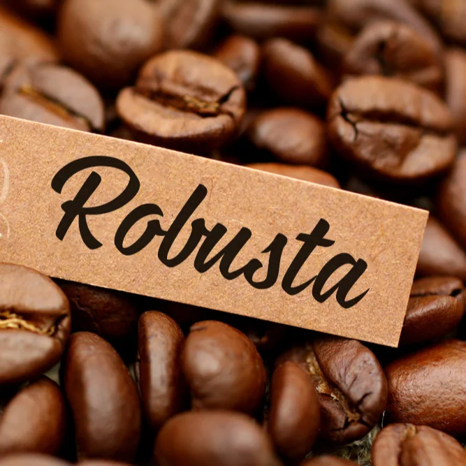 
 Лучшая цена, жареные кофейные зерна Robusta из Вьетнама  