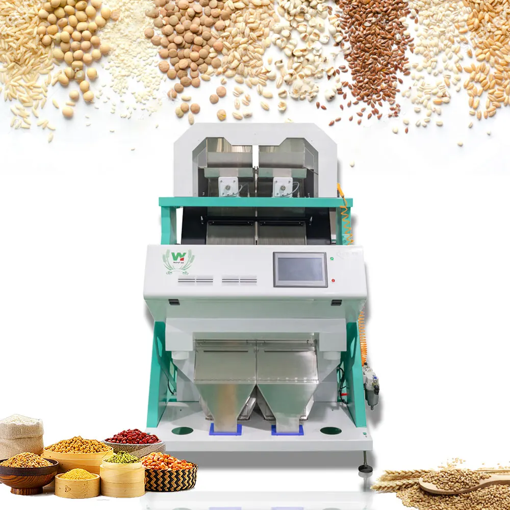Multipurpose grain seeds color sorter machine wheat pumpkin sunflower separator optical sorting machine separator