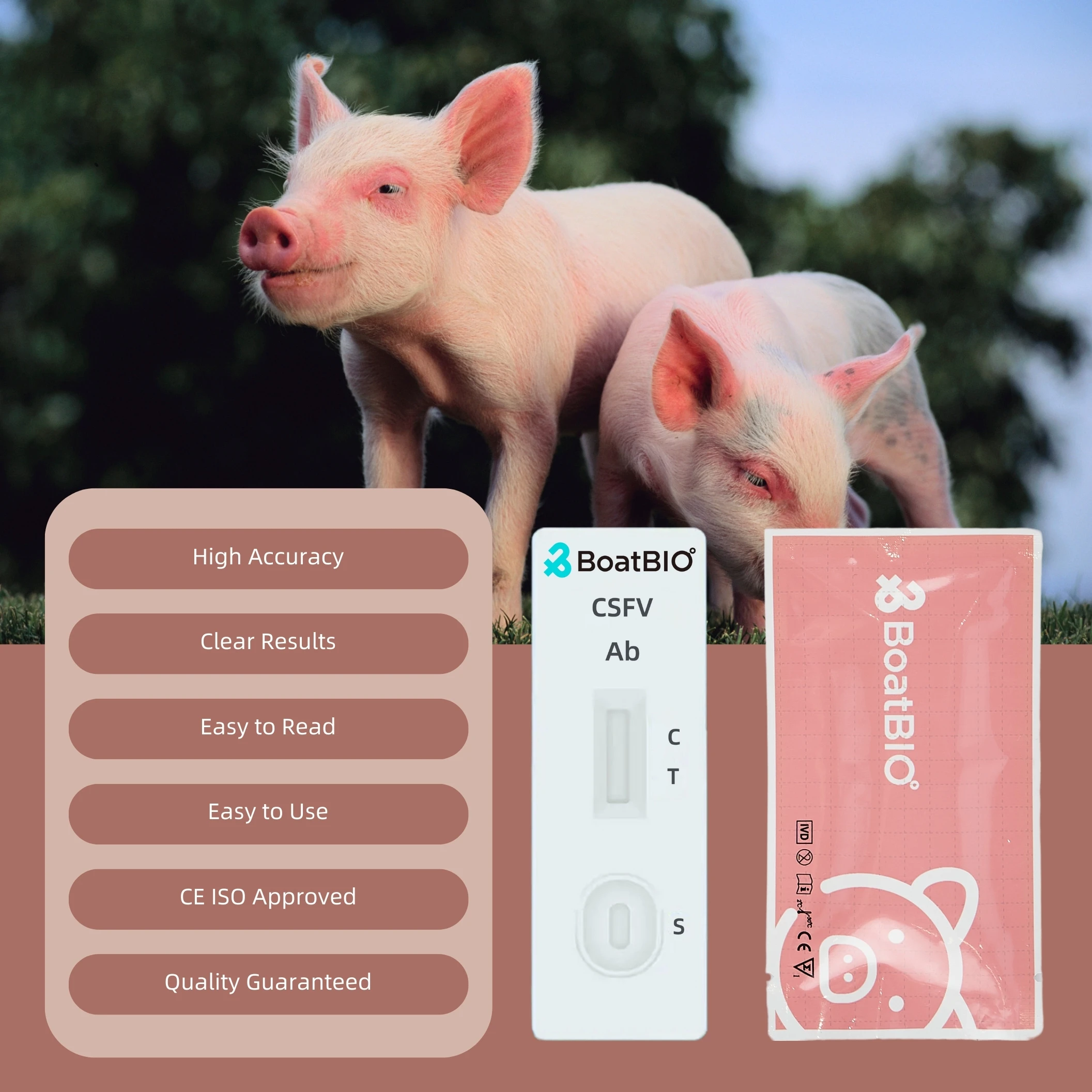 Quality Guaranteed Veterinary Diagnostic Pig Rapid Test Card CSFV Ab Rapid Test Kit