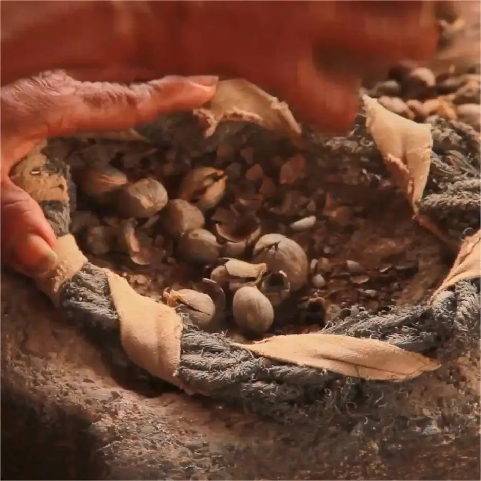 Honduras Organic Batana Oil Raw Bulk For Hair Growth - 100% Pure Natural Elaeis oleifera Palm Kernel Cold Pressed | Supplier 1kg