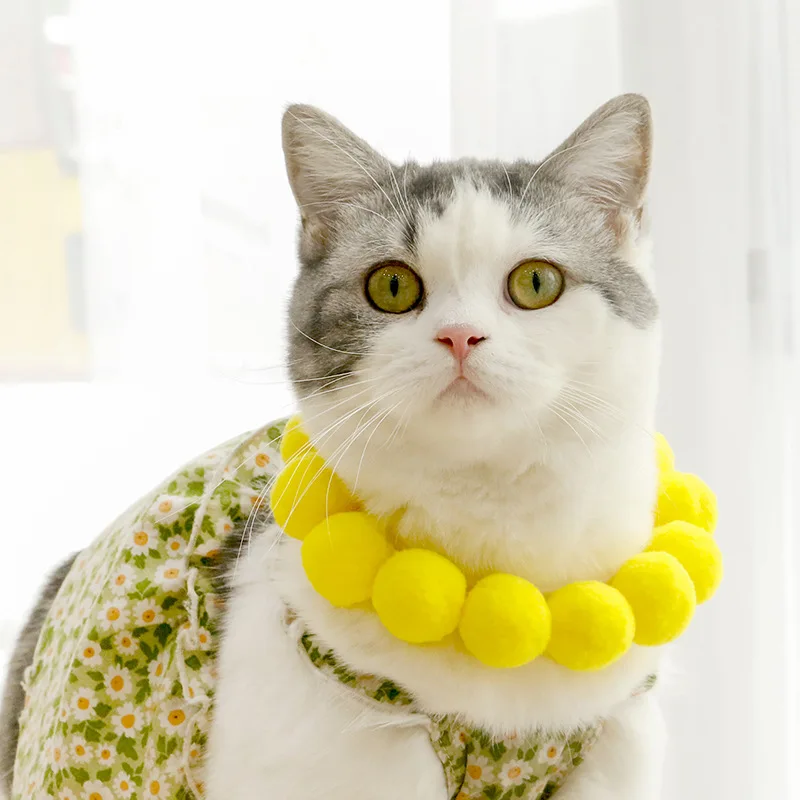 Cat Color Ball Collar Dog Hair Ball Collar Chain Birthday Jewelry Shiba Inu Corgi Collar Net Red Pet Photo