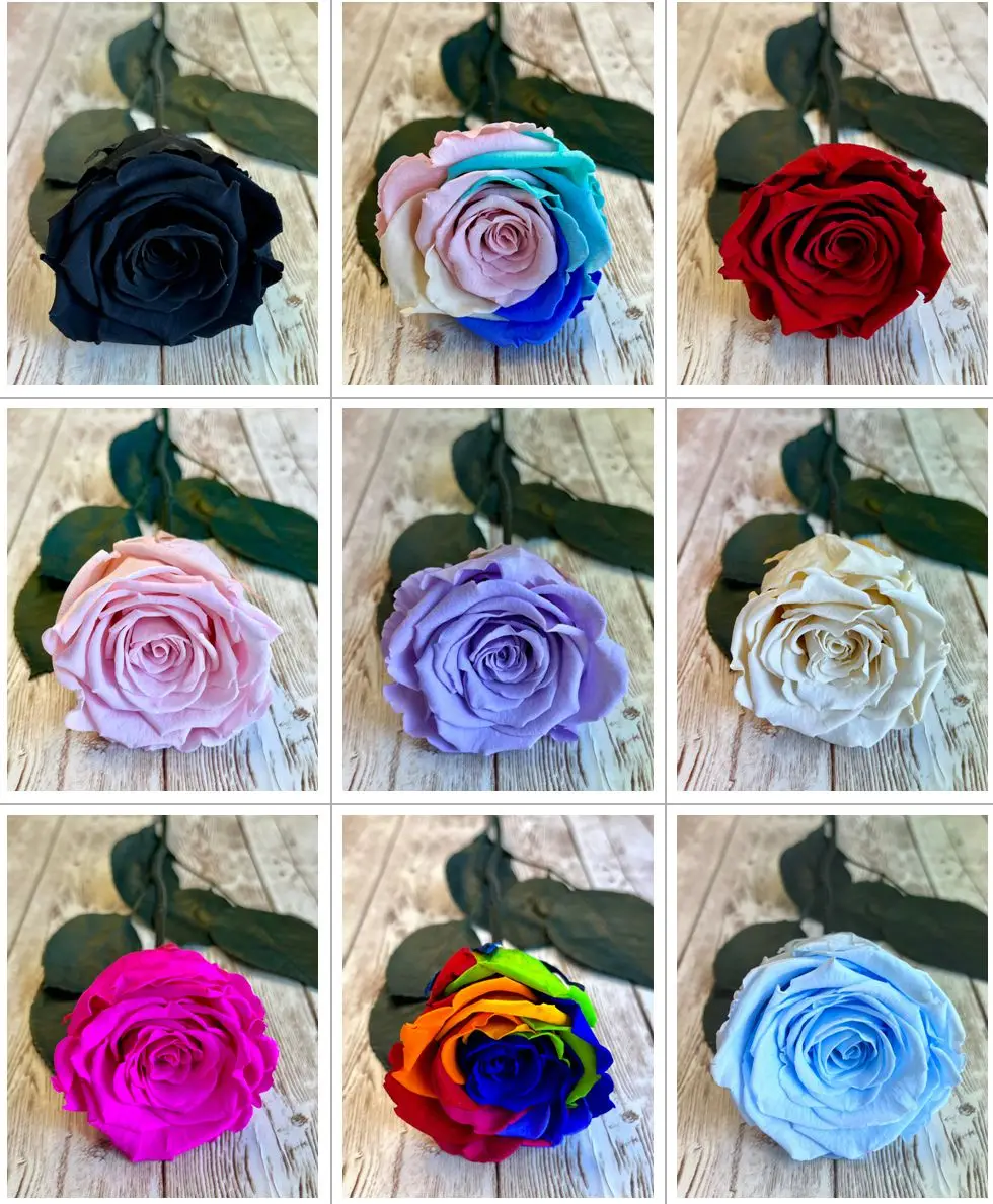 Natural touch preserved roses and preserved stems preserved colombian roses with stick
