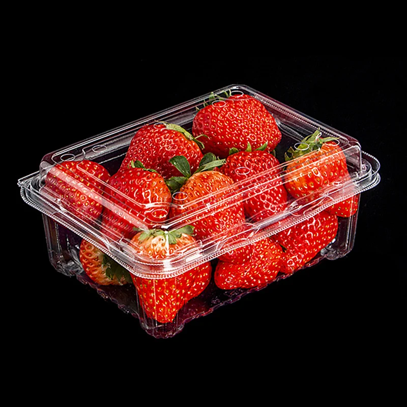 Food Container with Dome Lid Fruit and Salad Packaging Box Transparent PET Plastic Disposable OEM ODM Custom Embossing
