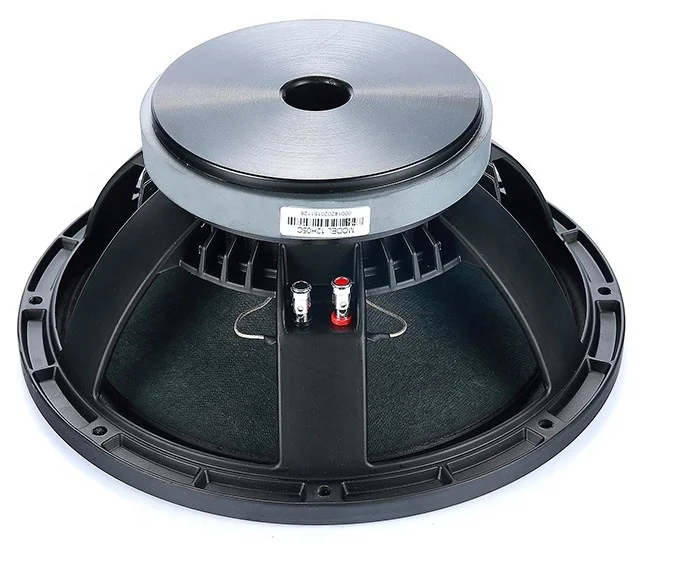 12 Inch Ktv Ferrite Ring 75mm Voice Coil High Power Speaker
