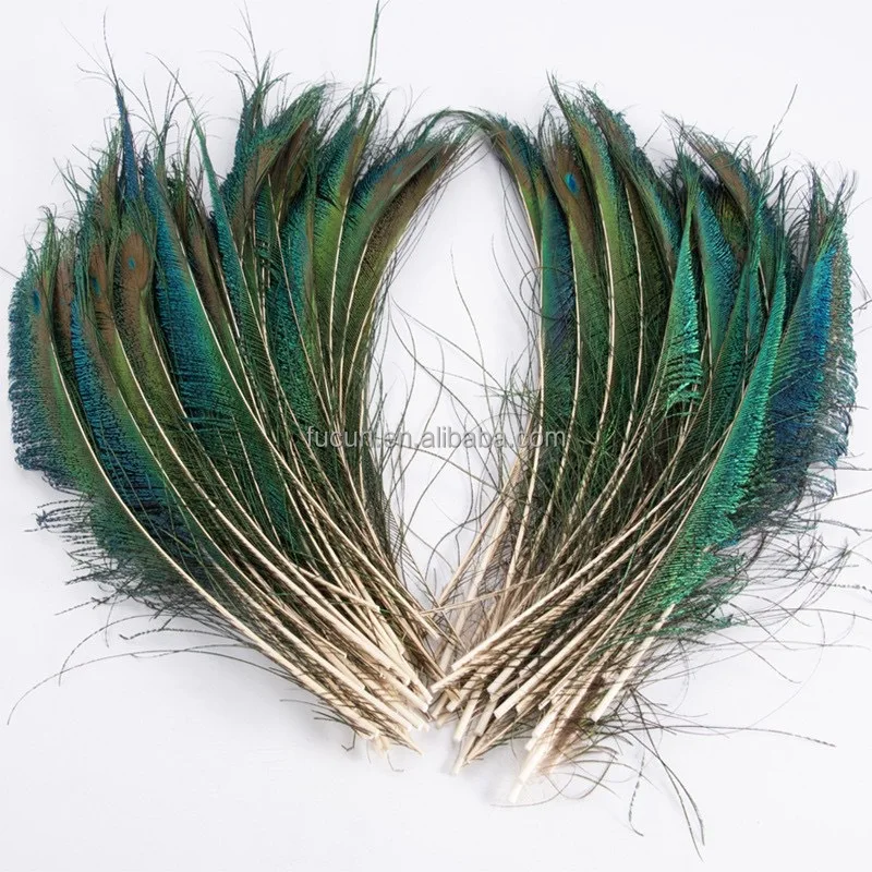 Carnival crafting made natural peacock swords feathers peacock quill feathers for carnival season in UK