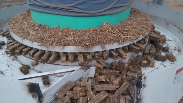 Biomass Olive Kernel Charcoal Briquette Extruder Machine German Biomass Briquette Machine