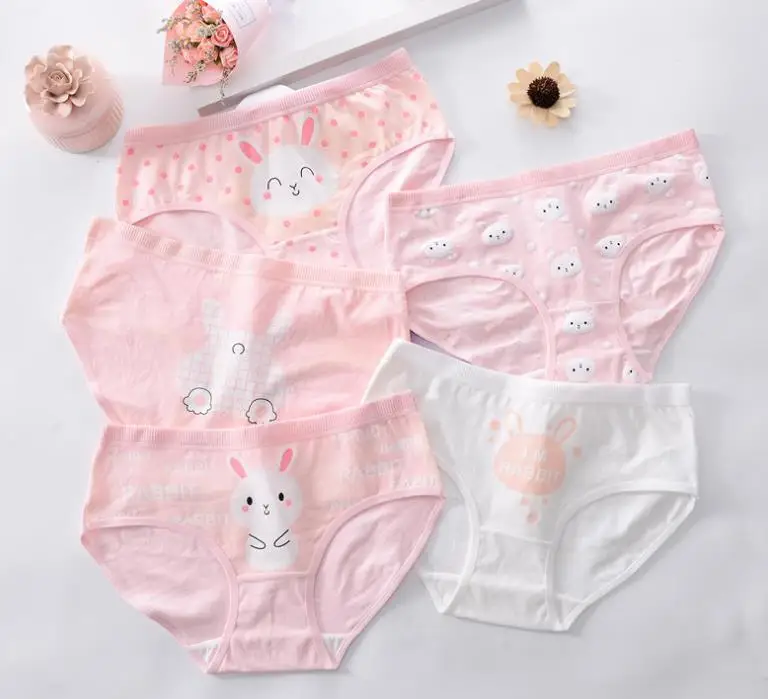 
Hot sale New 4pcs Teenage Panties Rabbit Underpants Young Girl Briefs Comfortable Cotton Pink Panties 