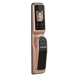 Huarui H10 smart face recognition door lock