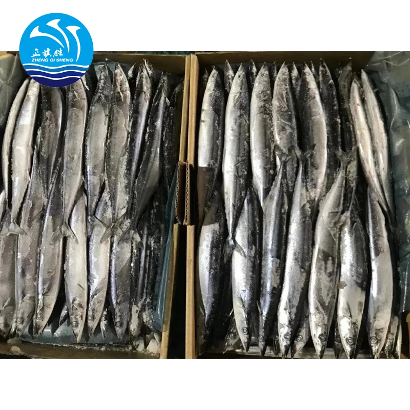 Japanese Frozen Seafood Pacific Saury 100-120g Fish For Export